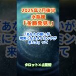 【水瓶座】2025年7月後半 みずがめ座の運勢「金脈発見！」　 #水瓶座        #みずがめ座  　#水瓶座の運勢