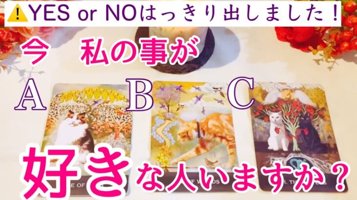 【⚠️YES or Noはっきり出してます❗️】今私の事が好きな人はいますか？何人いますか？タロット、タロット占い、恋愛