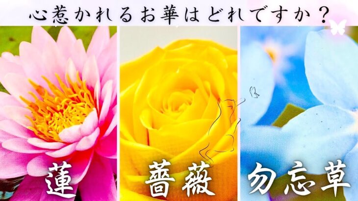 【タロット🦋‪】あの人の本音。隠された本当の気持ち