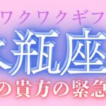 【未来の貴方から！】水瓶座♒️緊急🚨1番大事な事！これから届くステキなワクワクするコト‼️　@おむすびタロット  タロット﻿占い　タロット﻿  オラクルカード　占い　運勢