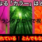 【え❗️まさかの展開⚡️】この今日❗️あなたに急いで伝えたい✨緊急メッセージ💌🏇【ルノルマンカードリーディング占い】恐ろしいほど当たる😱
