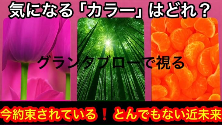 【え❗️まさかの展開⚡️】この今日❗️あなたに急いで伝えたい✨緊急メッセージ💌🏇【ルノルマンカードリーディング占い】恐ろしいほど当たる😱
