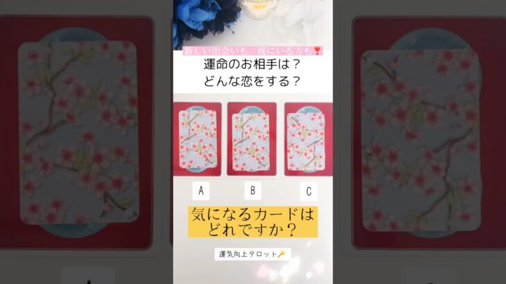 タロット占い💍あなた様の運命のお相手様の見た目、出会う場所、どんな恋をするか見てみました【詳細鑑定】#占い #運勢 #運命の人 #タロット #shorts #おらくる #オラクルカード #恋愛