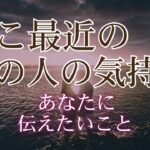 ここ最近のあの人のあなたへの気持ち 【 恋愛 タロット オラクルカード 占い 】