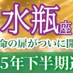 【水瓶座🐍2025下半期】あなたの人生が思い通りに動き出す！全てがスムーズに展開する怒涛の半年間🌊[運勢リーディング＆タロット＆オラクル]