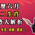 农历六月十二生肖运势大解析【财运 事业 婚姻 健康】#2025年運勢  #紫微斗数 #命理知識 #事业 #预测 #财运 #财富 #感情 #风水 #八字 #十二属相  #财富  #钱 #赚钱 #偏财运