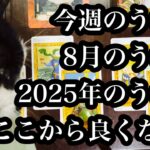 上り調子始まりました！今週のうお座、8月のうお座、2025年のうお座さん。Pisces this week, Pisces in August, and Pisces in 2025.