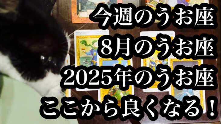 上り調子始まりました！今週のうお座、8月のうお座、2025年のうお座さん。Pisces this week, Pisces in August, and Pisces in 2025.