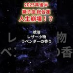 【獅子座】2025年後半（7月～12月）しし座の運勢「人生崩壊！？」#獅子座 #しし座 #獅子座の運勢#金運 #恋愛運 #仕事運 #健康運