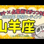 #147 ✨タロット×占星術で読む❕👀✨2025年🦝山羊座の傾向✨♑12星座別🌠年間リーディング🔮あらいぐま カードリーディングの森🌲🦝