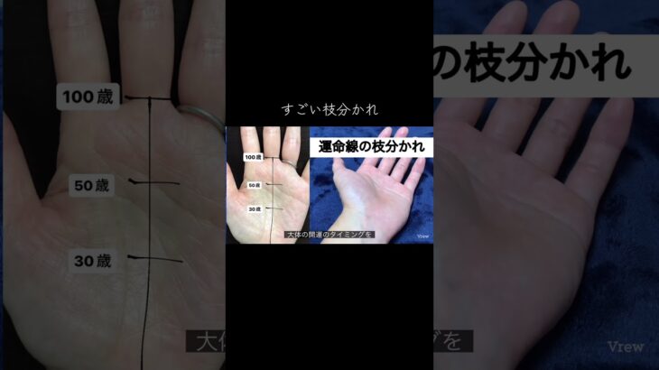 強運を教えてくれる枝分かれ #占い #手相 #手相鑑定 #手相占い