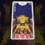 The Hidden Side of the Zi Wei Star #ziweidoushu #humannature #ego #oraclecards