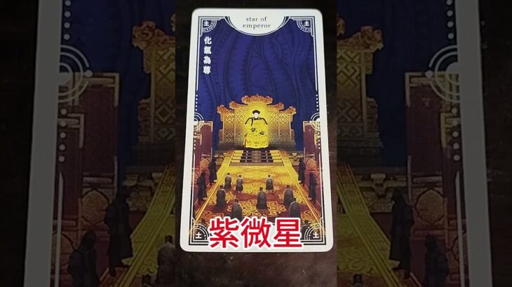 The Hidden Side of the Zi Wei Star #ziweidoushu #humannature #ego #oraclecards