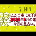 ふたご座（双子座)・2025年8月の運勢｜今月の星占い.
