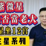 紫微斗數：紫微星看你能否當老大，帝王星入十二宮，紫微帝君是什麼含義 | 專業咨詢師 | 世恆紫微