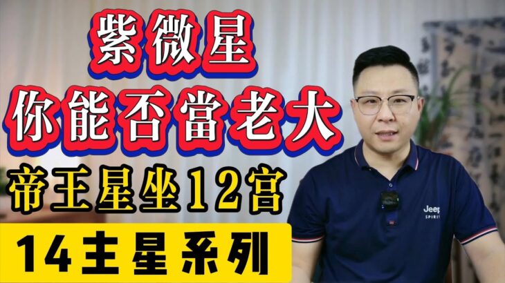 紫微斗數：紫微星看你能否當老大，帝王星入十二宮，紫微帝君是什麼含義 | 專業咨詢師 | 世恆紫微