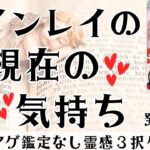 【見た時がタイミング🔔】ツインレイの気持ち❤️ツインレイ/ソウルメイト/運命の相手/複雑恋愛/曖昧な関係/復縁/片思い/音信不通/ブロック/未既読スルー/好き避け/恋愛/結婚/占い/リーディング/霊視