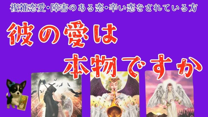 【神回🎊&辛口注意🚨救済アリ🚑】彼は本当に私を愛してるの？🥺💓