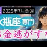 【みずがめ座♒️7月💰️金運】お金の後悔や我慢が続いたターン…これを乗り切れば大チャンス✨️水瓶座の運勢 2025年