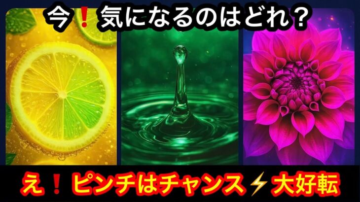 【これから✨私はどうなる⁉️】この今日❗️あなたに急いで伝えたい✨緊急メッセージ💌🏇【ルノルマンカードリーディング占い】恐ろしいほど当たる😱