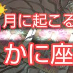 【かに座♋️8月運勢】🌻中旬が重要節目‼️お金に愛される夏✨#蟹座8月金運#かに座8月#かに座金運 #スピリチュアル #オラクルカード #かに座 #蟹座#人生相談#個人鑑定級#占い#タロット#開運