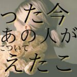 たった今、あの人があなたについて考えたこと💭あの人の気持ち 【 恋愛 タロット オラクルカード 占い 】
