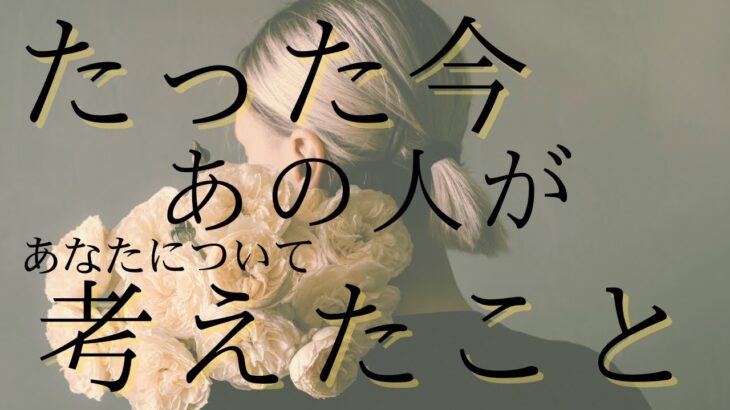たった今、あの人があなたについて考えたこと💭あの人の気持ち 【 恋愛 タロット オラクルカード 占い 】