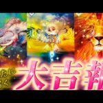 【本当に起きる🌈】凄展開🥹あなたに届く大吉報‼️本気で目醒めよ⭐️個人鑑定級　タロット占い