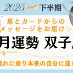 【8月双子座運勢】「本当の私」って何⁉️8月、ついに気づくとき✨完璧を目指さなくてもいいんです