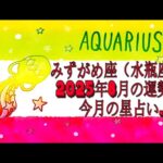 みずがめ座（水瓶座)・2025年8月の運勢｜今月の星占い.