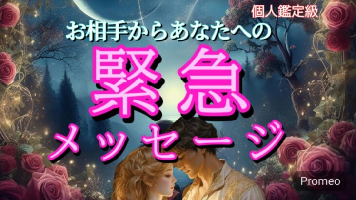 お相手からあなたへの緊急メッセージ😳💓恋愛タロット占い