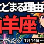 【山羊座】♑️2025年7月14日の週♑️今、止まる理由なし。片っ端から進めて行く。大きなチャンスが来るから。やぎ座。タロットリーディング