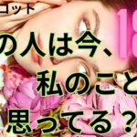 （恋愛💛霊視タロット18択）あの人は今、私のことをどう思ってる？サクサクリーディング❤️過去の人、現在の気になる人などの思いです、心の声も聞きました恋愛アドバイスも出しました ※辛口あります