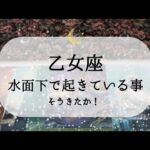 【乙女座】【準備完了】水面下ではすごいことになってます😮