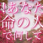 【恋愛】あなたの運命の人❤️は…今､どこで何をしている??🤔🌀✨タロットリーディング