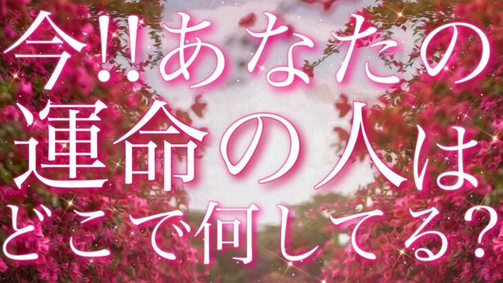 【恋愛】あなたの運命の人❤️は…今､どこで何をしている??🤔🌀✨タロットリーディング