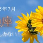 【魚座さん】2025年7月の星座リーディング🌸🕊️
