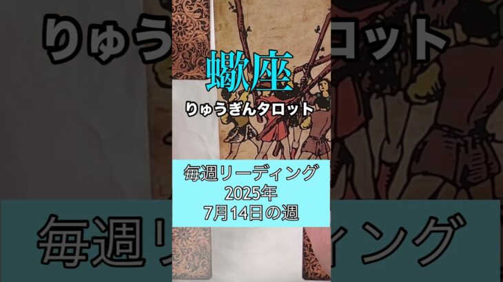 蠍座の2025年7月14日の週の運勢#りゅうぎんタロット #占い #蠍座