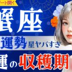 【蟹座】8月運勢♋️ライオンズゲート期間ピークきてます‼️理想のプロセスが始まる/8月7日までに見て👀星読みタロットで当たる【8月運勢】