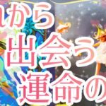 これから出会う運命の人🥰❤️あなた様の現状、運命の人の特徴、どんな風に出会う？いつ出会う？お互いの印象、最終的にお2人はどうなる？💖恋愛タロット占い🔮