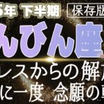【2025 てんびん座】2025年下半期天秤座の運勢　ストレスからの解放！12年に一度　念願の転身