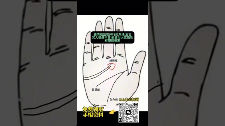 手相这样情感丰富，是慈善家#手相 #掌纹 #情感丰富 #慈善家 #慈善 #慷慨 #善良 #同情心 #爱心 #乐于助人 #直觉 #敏感 #内心世界 #命运 #性格分析  #手相解读  #感情线 #智慧线