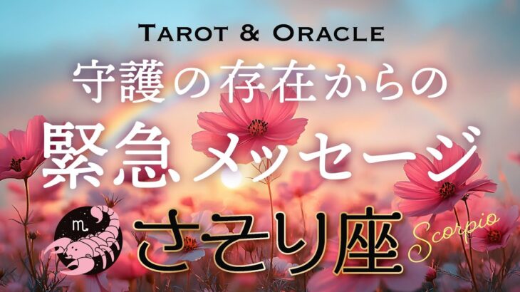 【蠍座♏️Scorpio】あなたを見護る存在から緊急です💌もがいている方、やり直したい方へヒントになりますように。タロット＆オラクル／tarot＆Oracle card reading