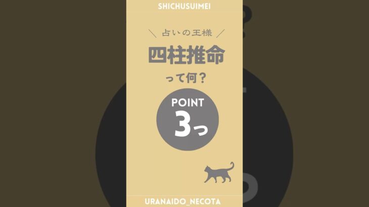 当たると話題！四柱推命ってどんな占い？