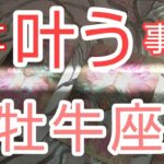 【牡牛座♉️】🌈急に叶う事🎊この運気はすごい❗️おめでとうが次々来る✨祝✨#スピリチュアル #カードリーディング #占い  #オラクルカード #運命 #女神#牡牛座#おうし座#タロット#人生相談#魂