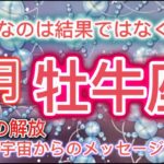 [牡牛座８月]♉️大切なのは結果ではなく、今この瞬間[宇宙からのメッセージ]