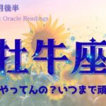 【牡牛座】7月後半♉️まーたやってんの？いつまで頑張るつもり？