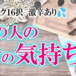忖度なし！激辛も辛口も甘口も【サクッと16択】あの人の今の気持ち