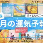 🤩なぜか当たるタロット🤩牡羊座♈️宝物を見つける✨変容の前の静けさ✨手放しと内省✨【サロンVer.特別公開】