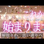 【牡牛座】これから始まっていきます🦄✨️▼タロットカード&オラクルカード&ルノルマンカード占い